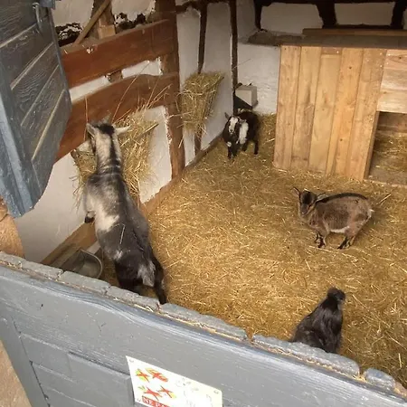 לינה וארוחת בוקר A La Ferme